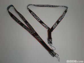 一站式创意解决方案 免费专业设计，赋能您的品牌宣传与礼品服务